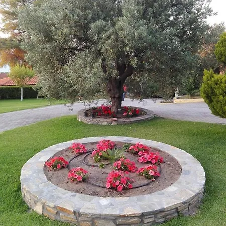 Elena & ブアブロウ