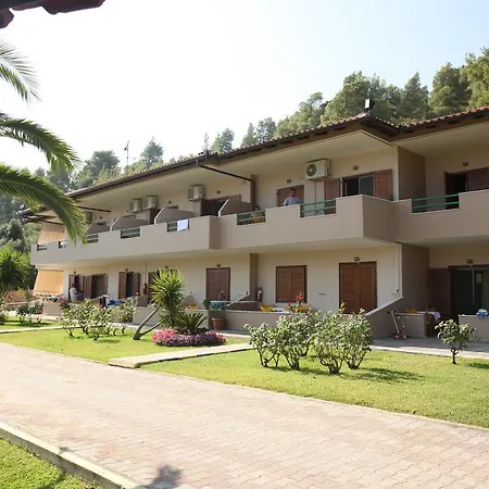 Elena & Studios