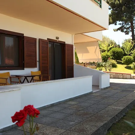 Elena & Studios *
