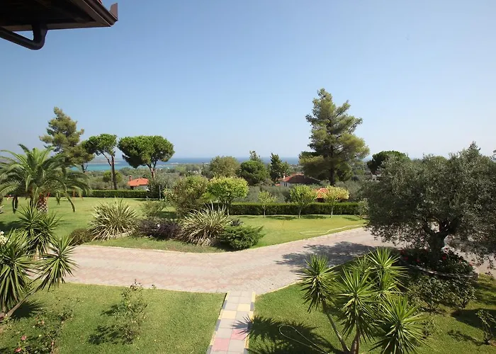 Elena & * 沃尔沃罗