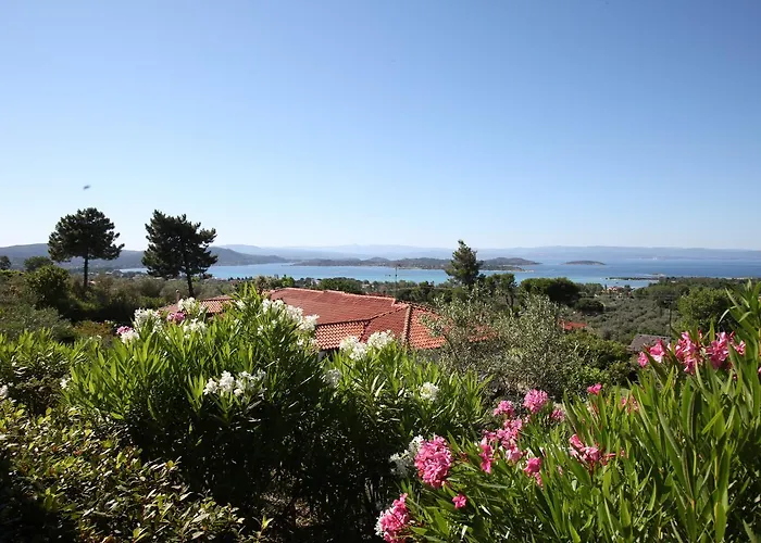 Elena & * 沃尔沃罗