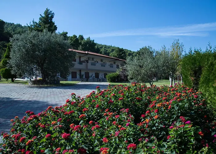 Elena & * 沃尔沃罗