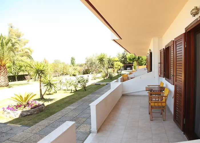 Elena & * 沃尔沃罗