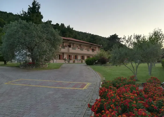 Elena & * 沃尔沃罗